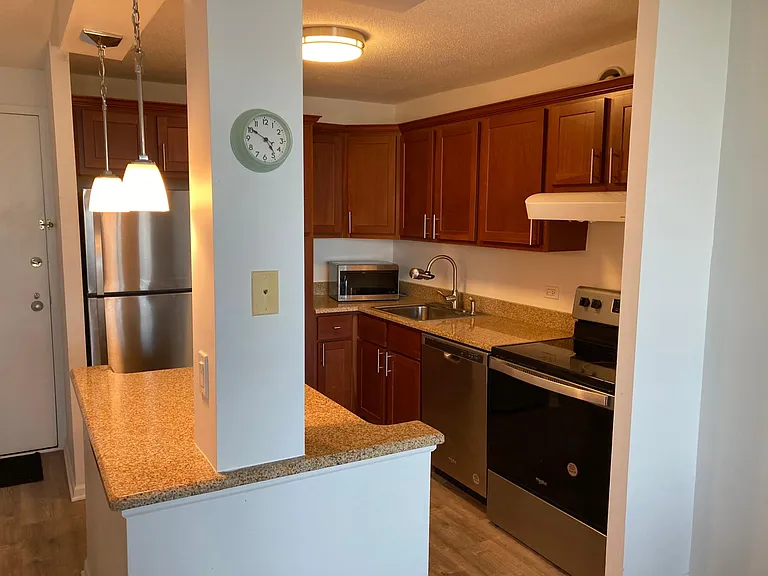901 S Plymouth Ct #1301 — Photo 2