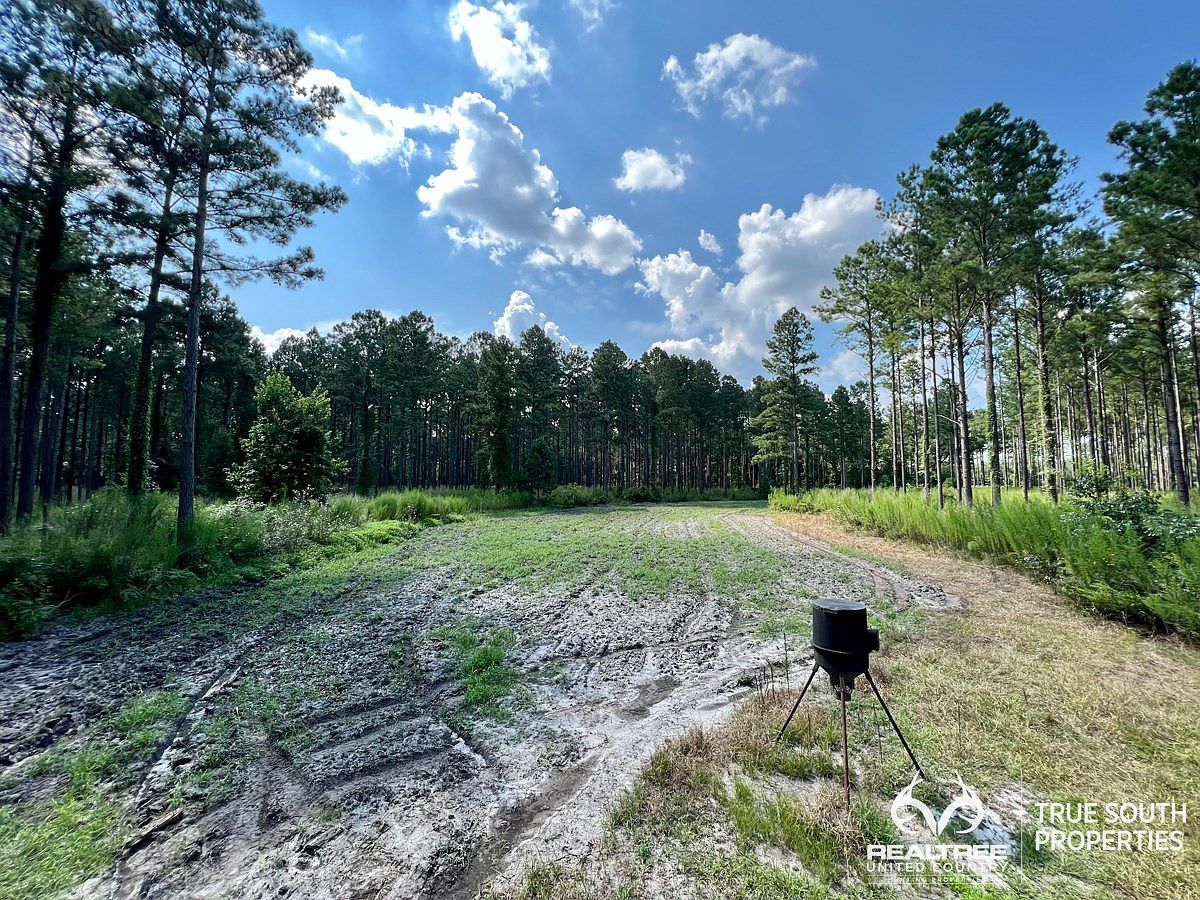 371 Causey Rd, SC 29922 Zillow