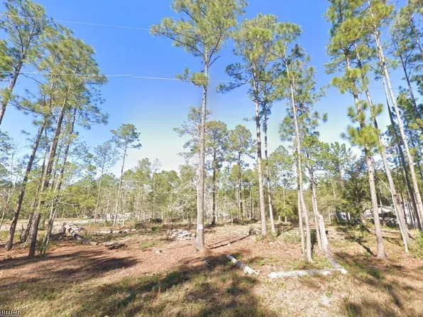 4335 Theresa St, Hastings, FL 32145