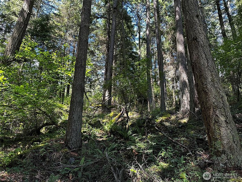 2nd image of 808 Roehl's Hill Rd. Road
