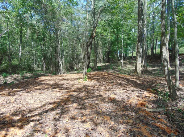 0 Alexander Springs Rd, Ethridge, TN 38456