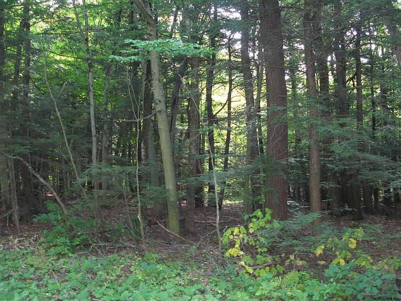 3rd image of 00 BURTONVILLE Road