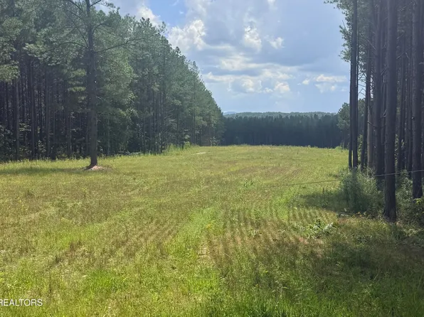 145 Black Bear Ln, Sunbright, TN 37872