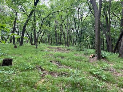 LOT 16 Turtle Bay Ln, Perham, MN, 56573