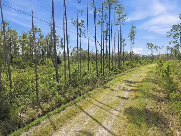 TRACT 76 Circle Block Loop, Perry, FL 32348