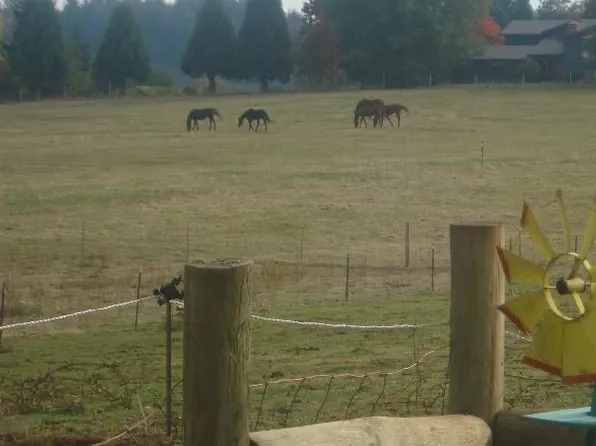 16662 S Carus Rd, Beavercreek, OR
