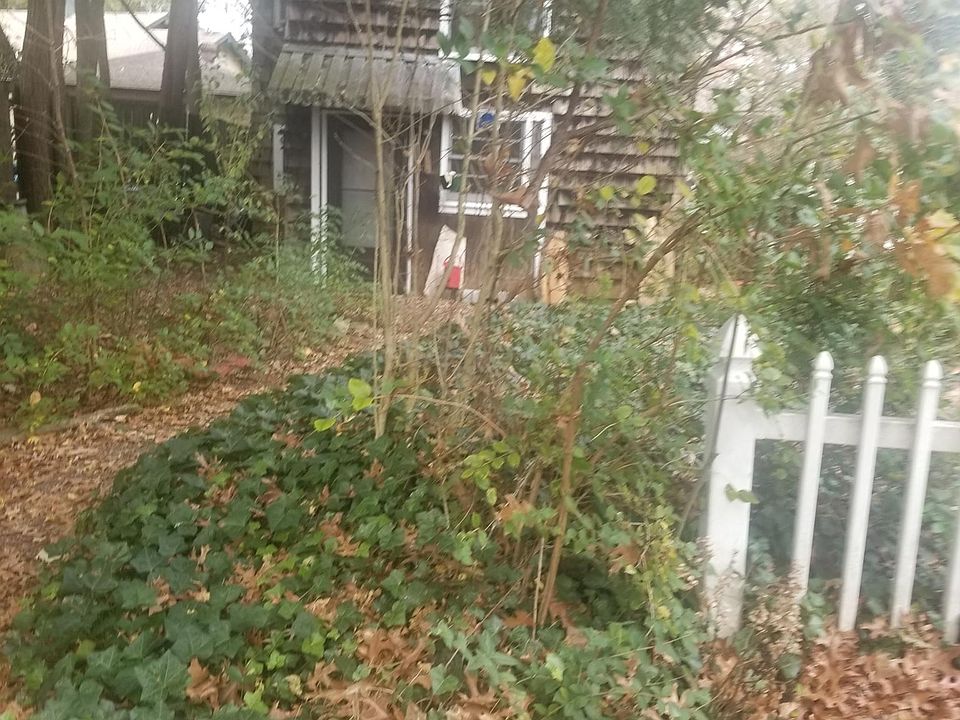 Cottage front view