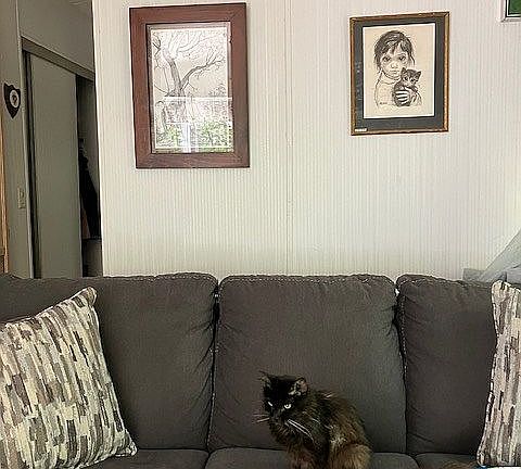 3rd image of 759 N Main Rd