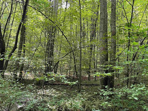 4th image of 96 Donnie Hill Rd