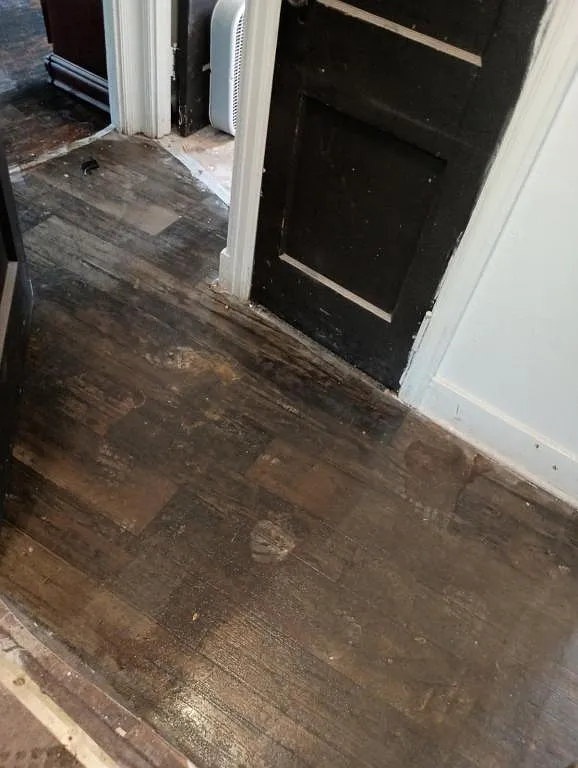 861 Glenwood Ave Back Lower, Buffalo, NY, 14211 — Photo 2