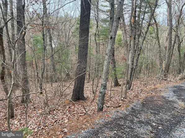 219 Crab Apple Rd, Mount Jackson, VA 22842