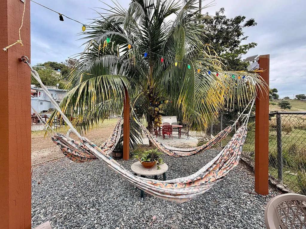 Studio, 450 sqft, $750 — Photo 3