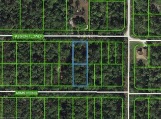 1311 Passion Flower St, Sebring, FL 33875