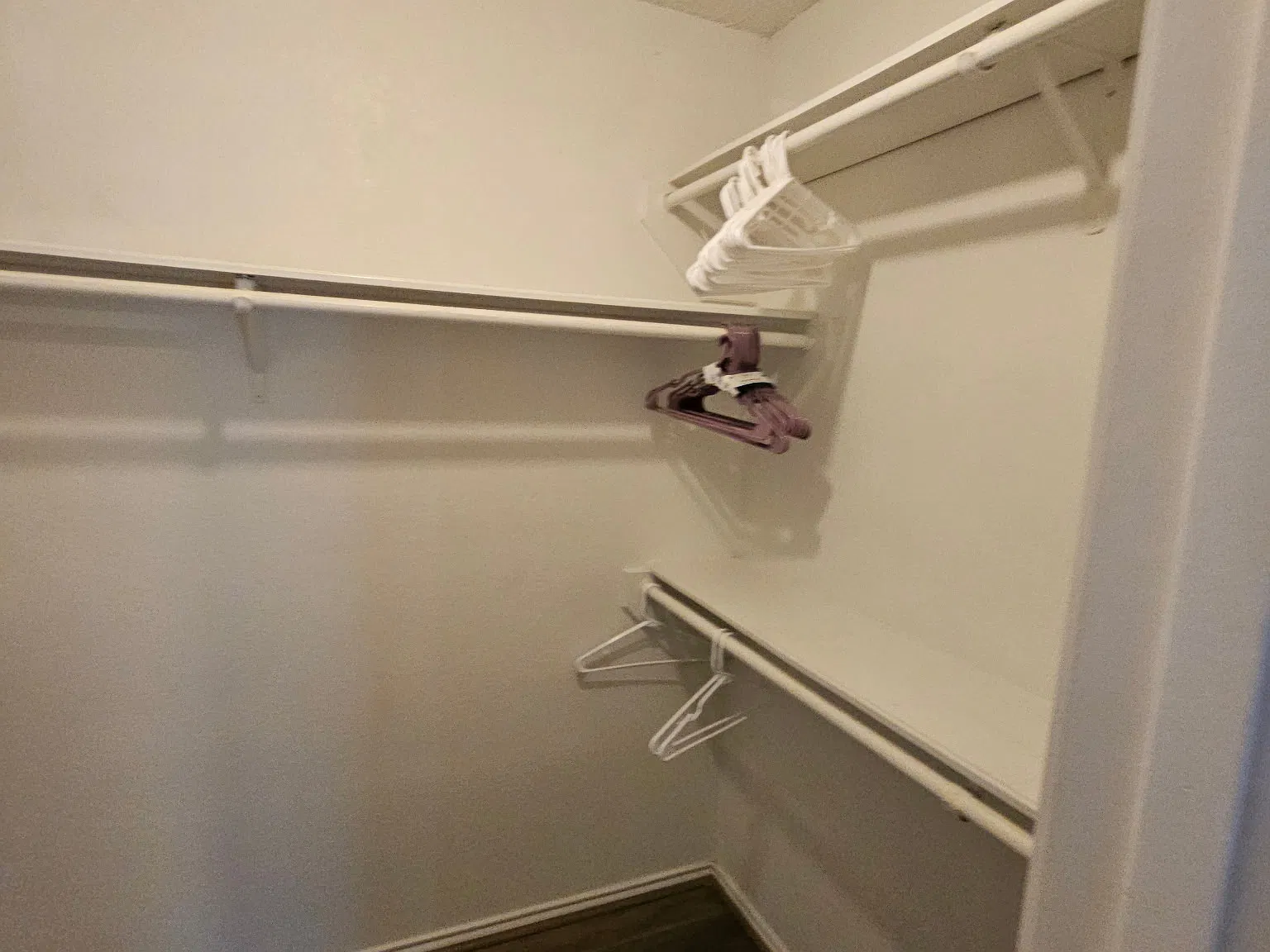 3 bed, 1257 sqft, $2,100 — Photo 2