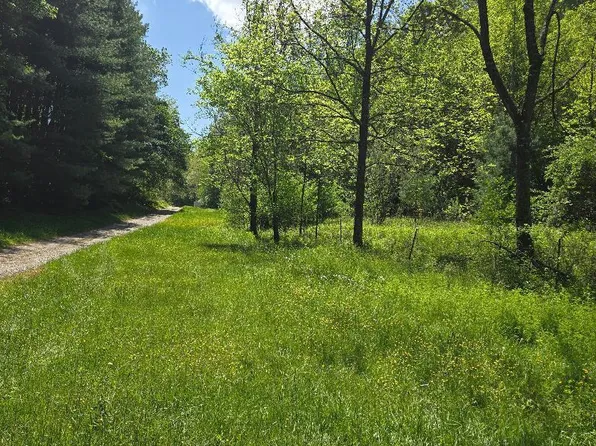 Tracts 4 5 6 Dooley Hollow Rd, Ewing, VA 24248