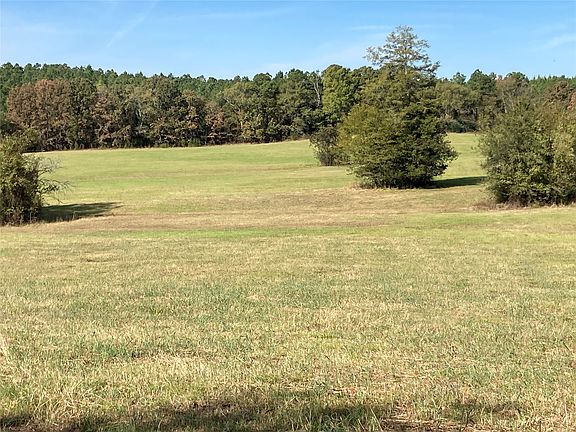 3rd image of 901 Sycamore Bend Loop