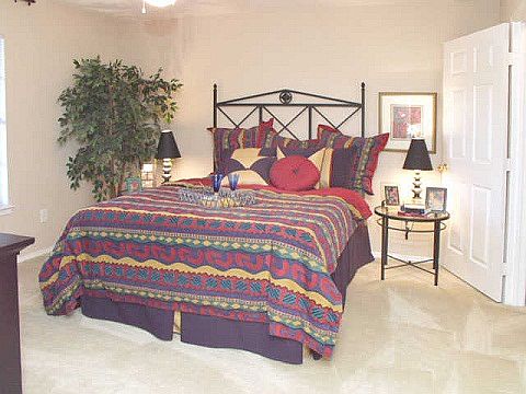 3rd image of 8219 Solano Bay Loop APT 1035