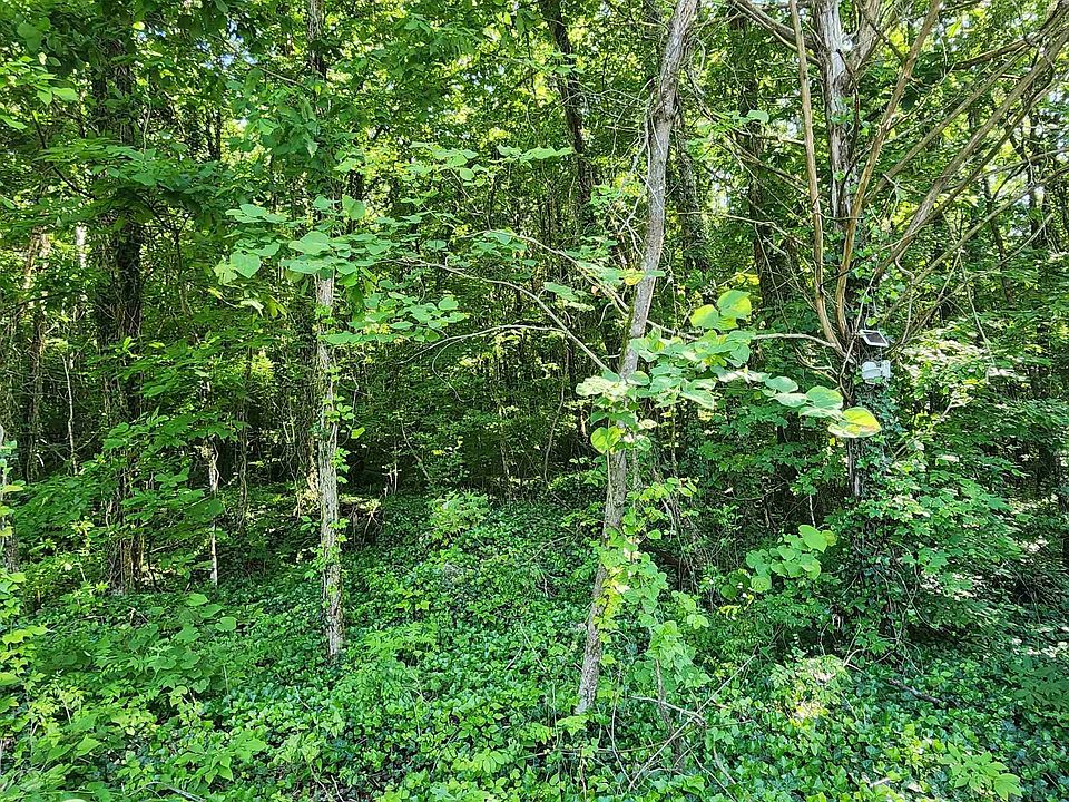 2nd image of 1 Acres Keel Mountain Rd