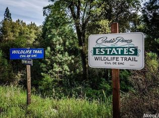 A 29 Wildlife Trl, Fiddletown, CA 95629