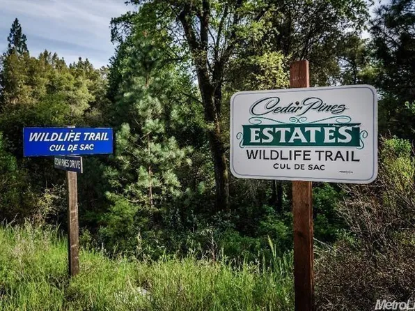 30 Wildlife Trl, Fiddletown, CA 95629