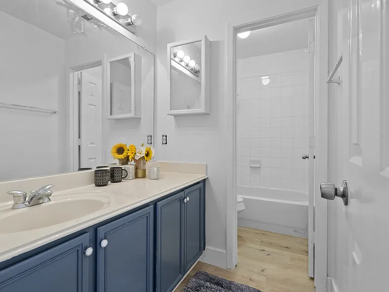 Shining Leaf Ct — Photo 19