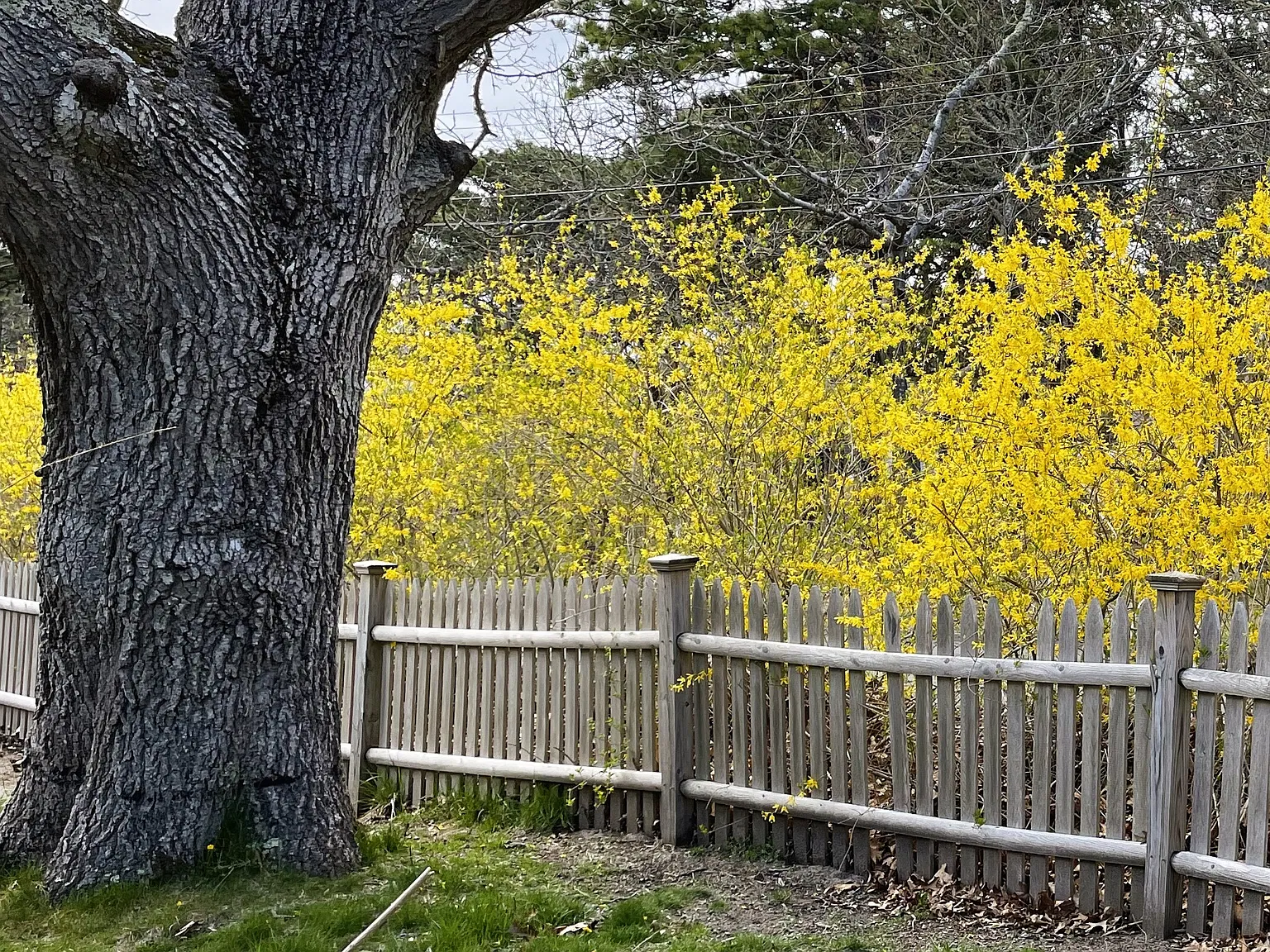 Linda Ln, Eastham — Photo 1