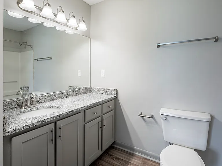Bliss Newly Renovated Main Bathroom
