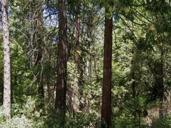 166 Higdon Rd, West Point, CA 95255