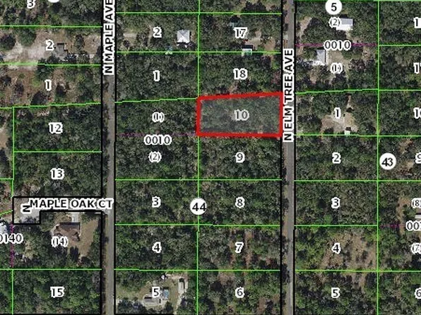 8484 N Elmtree Ave, Crystal River, FL 34428