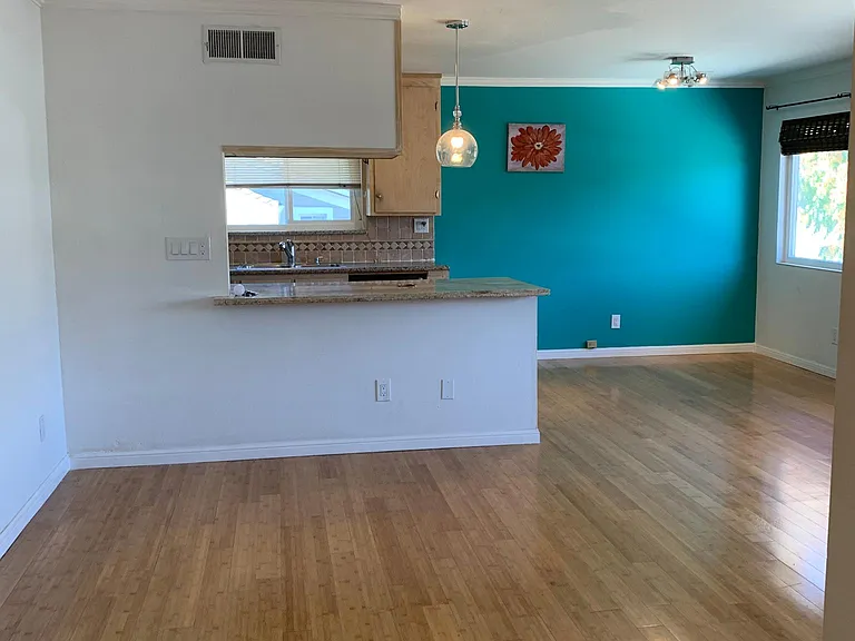 229 Ramona St — Photo 9