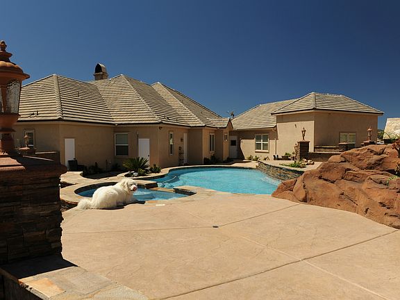 view of pool area -puppy not included