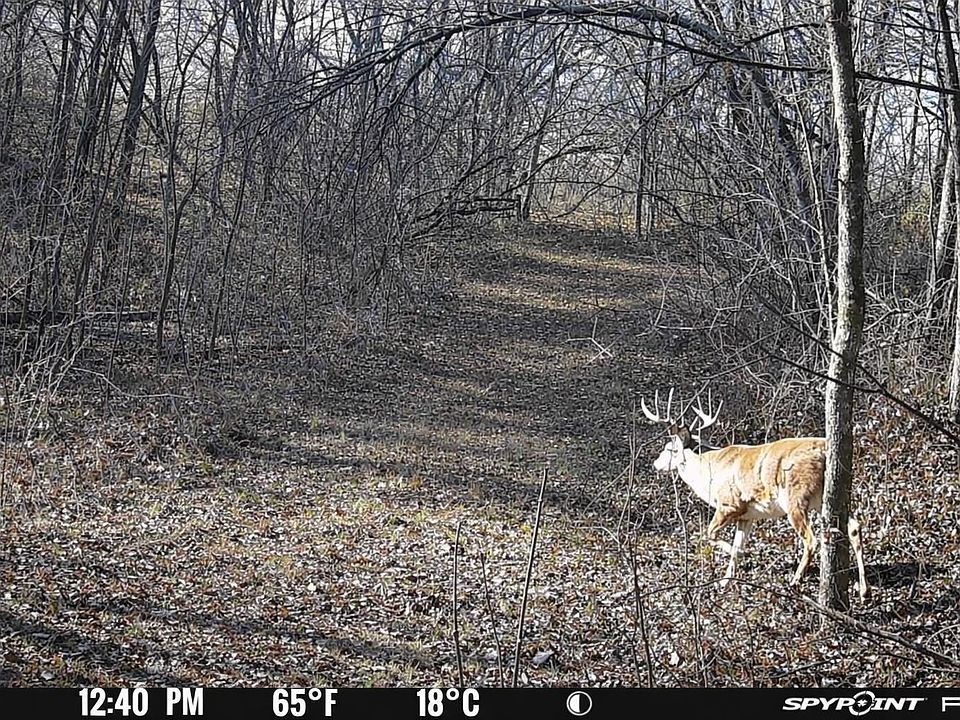 1st image of 59/AC State Highway 80