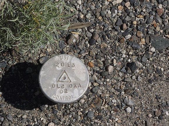 Recent Survey Marker!