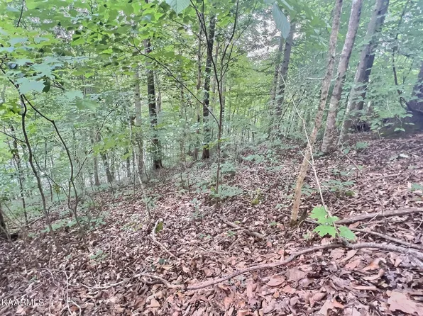 Mariner Point Rd, Lafollette, TN 37766