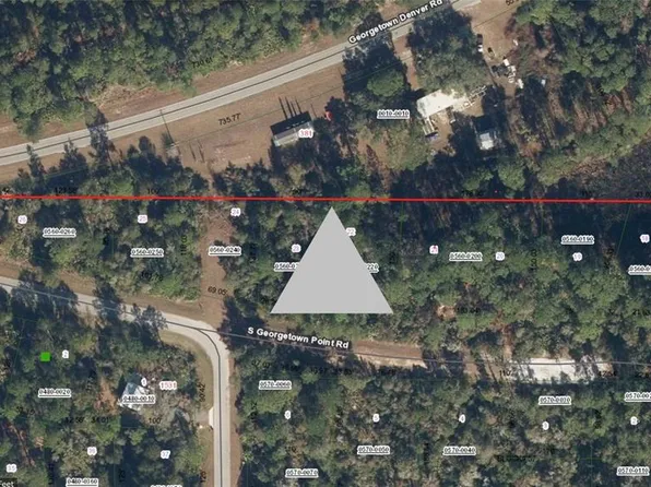 116 S GEORGETOWN POINT ROAD LOT 23, GEORGETOWN, FL 32139