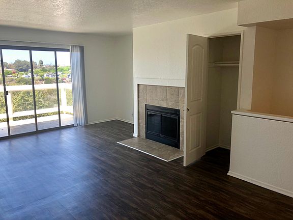 Wood burning fireplace and coat closet