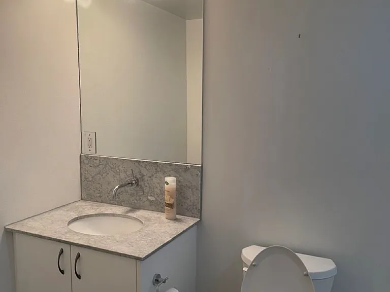 59 E Liberty St #1102 — Photo 15