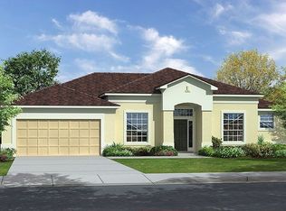 13487 Barkingside Pl, Spring Hill, FL 34609