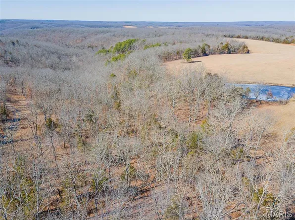 0 Highway Oo, Rolla, MO 65401