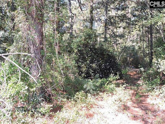 4th image of 1250 S Lake Dr