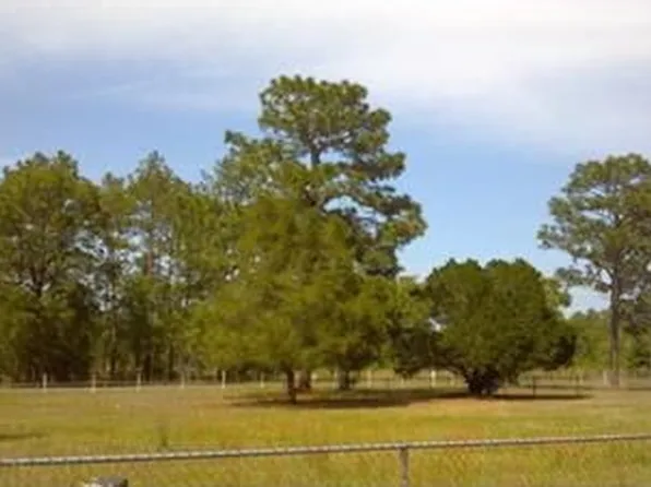 7151 SE 193rd Ave, Morriston, FL 32668