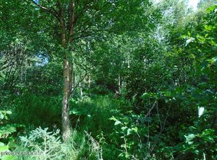 L7 & L8 Von Scheben Dr, Anchorage, AK 99516