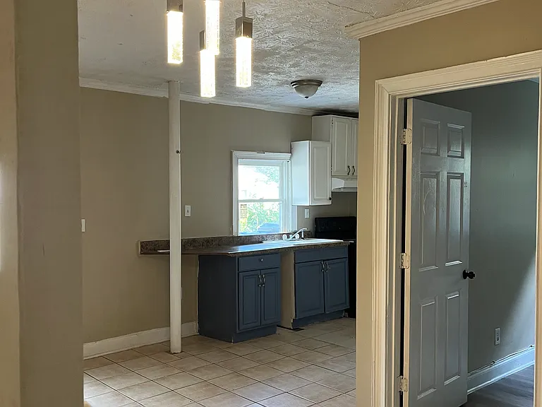 1412 Black Hickory Pl — Photo 11