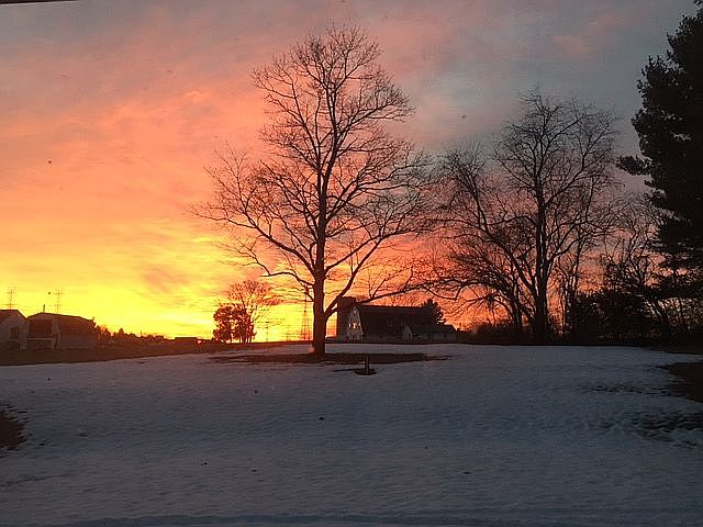 Backyard Sunset View