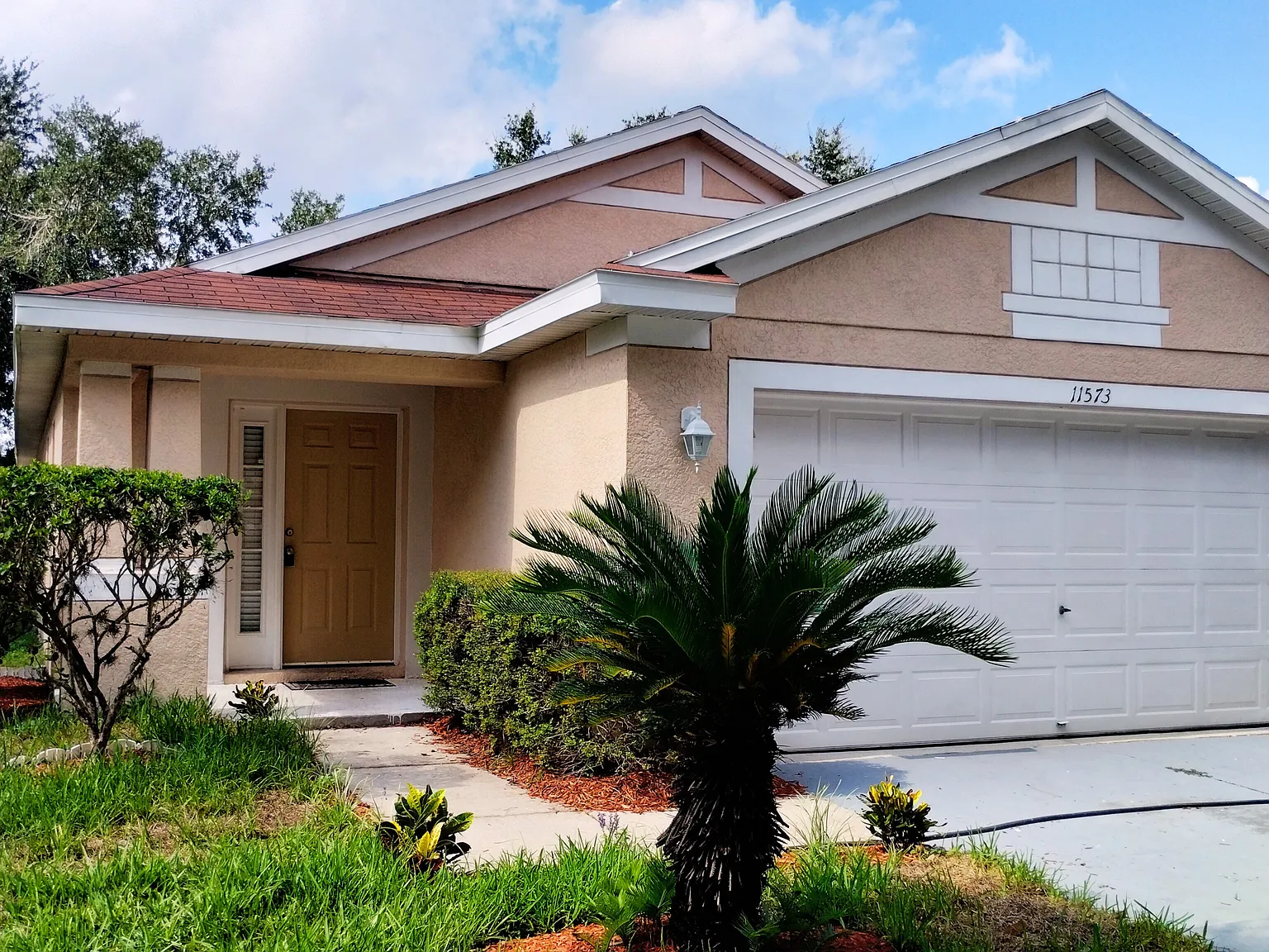Move In Ready — Photo 1