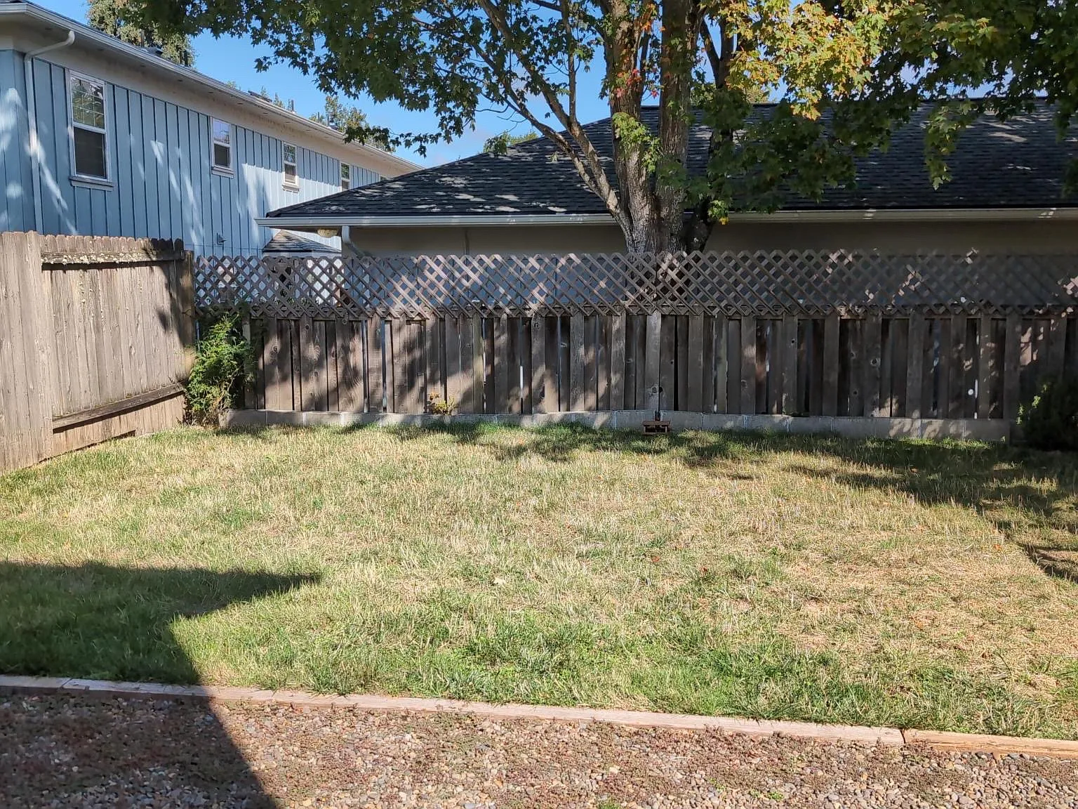 Autumn Ave, Eugene — Photo 4