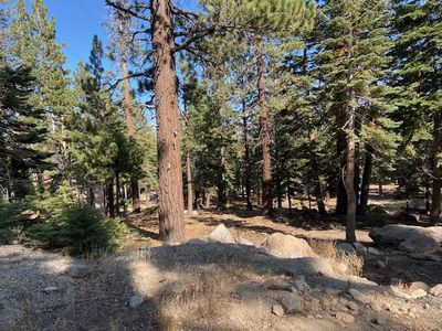 61 Innsbruck Pl, Mammoth Lakes, CA, 93546