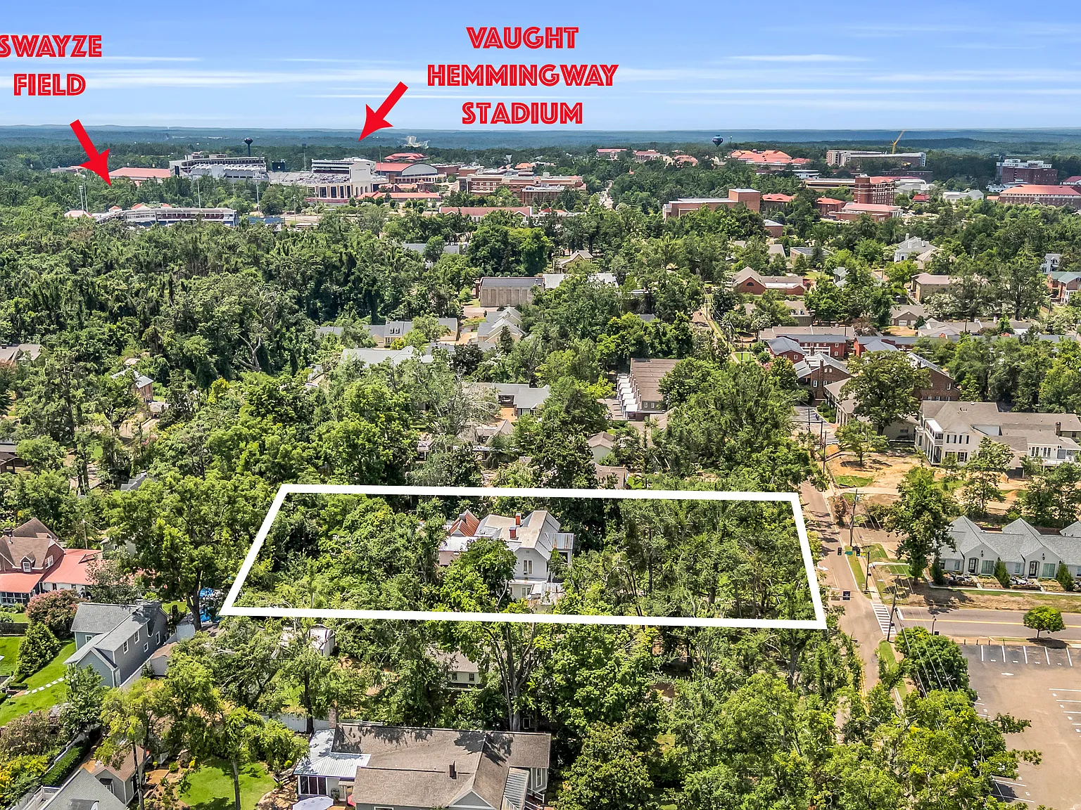 1 bed, $1,600 — Photo 3