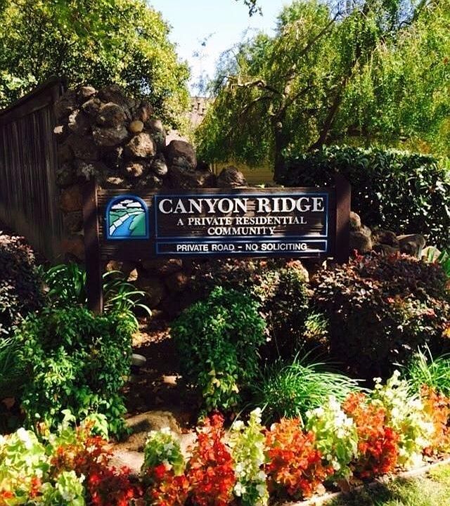 1st image of 262 Winding Canyon Ln