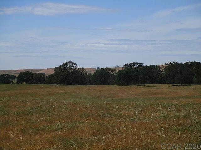 2nd image of 10668 Shelton Rd #24